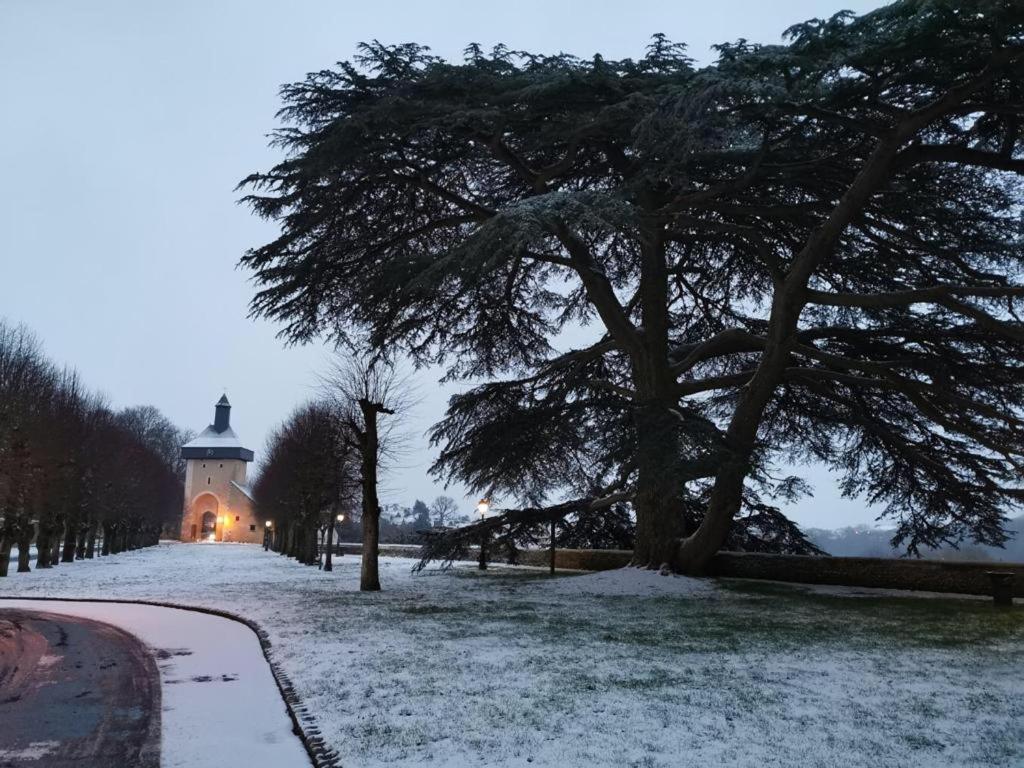 Cosy T1 ! Proche commerces et axes routiers Château-Renault Extérieur photo